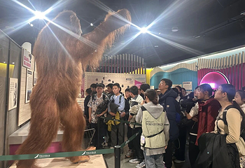 “猿”宇宙——灵长类家族的非凡世界第 8 张图片