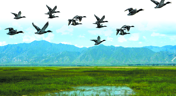 野鸭湖国家湿地公园