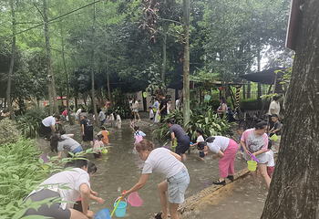 清水里森林营地第 36 张图片