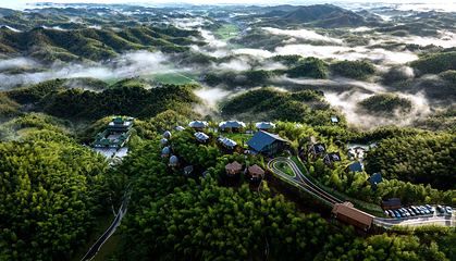 桃花江竹海景区第 23 张图片