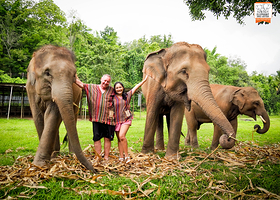 清迈大象丛林保护区（Grand Canyon Branch分店）