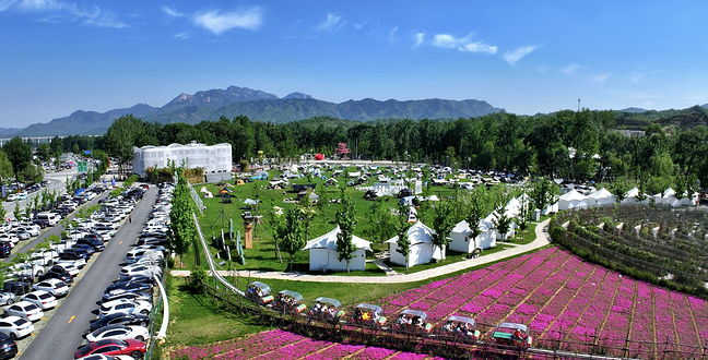 锦绣大明川(树桥公园)