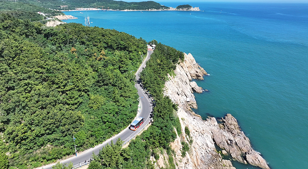 威海环海路观光巴士