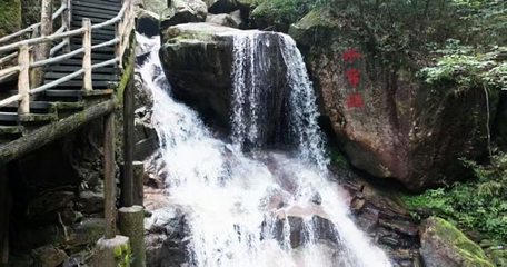 莽山旅游区国家森林公园第 68 张图片