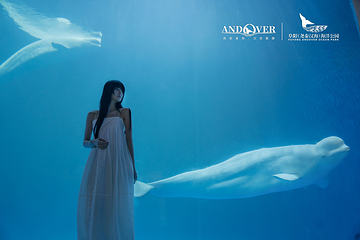 阜阳尧泰汉海海洋公园第 43 张图片
