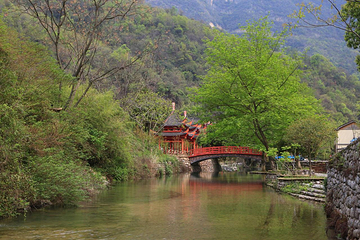 三峡龙隐谷生态旅游区第 30 张图片