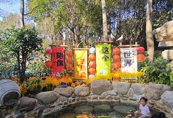 天颐汤泉第 20 张图片