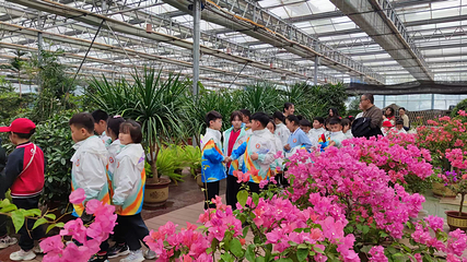 鑫诚田园生态旅游区第 33 张图片
