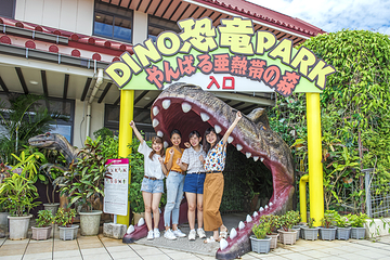 冲绳DINO恐龙公园第 11 张图片