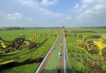 闫家岗稻田画第 4 张图片