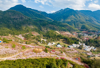 明月山花海原居第 6 张图片