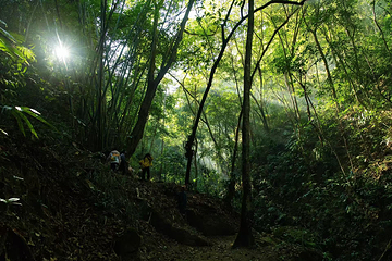 腾冲樱花谷森林温泉景区第 15 张图片