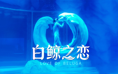 上海海昌海洋公园第 12 张图片