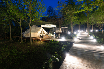 大象露营Elephant Camping第 5 张图片