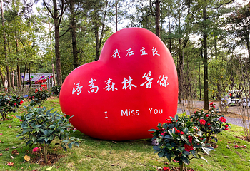 清嵩森林第 18 张图片