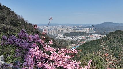 王仙岭旅游风景区第 17 张图片