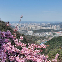 王仙岭旅游风景区