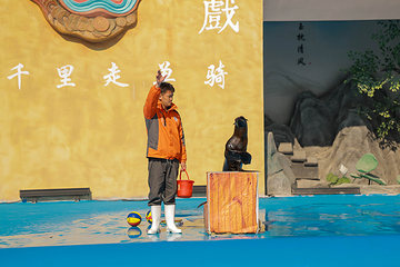 一渡一山海景区第 11 张图片