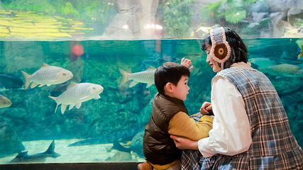 上海海洋水族馆第 42 张图片