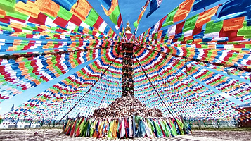 若尔盖·热尔部落梅花鹿生态园景区