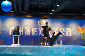 广州海屿汇海洋公园第 14 张图片
