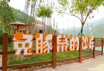 云丘山朵拉萌宠乐园第 8 张图片