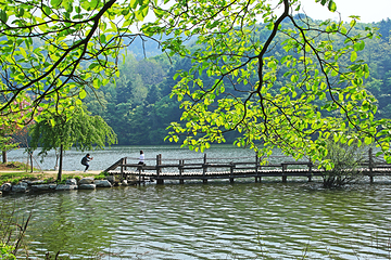 南怡岛第 36 张图片
