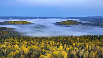 汤旺河林海奇石风景区