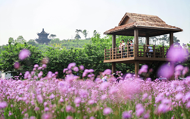 铜官山生态旅游度假区第 36 张图片
