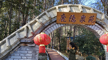 麻城旭日山庄温泉