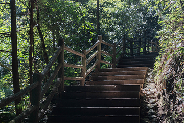 江郎山风景名胜区第 65 张图片
