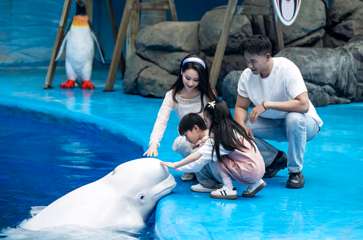 海合安成都极地海洋公园第 117 张图片