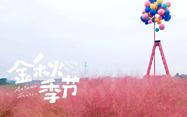贡之源·花仙谷第 21 张图片