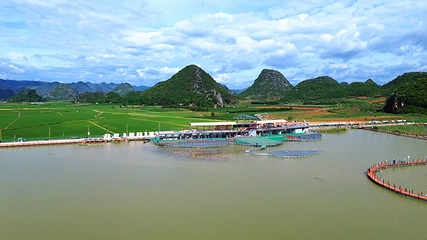普者黑仙语青丘谷生态旅游区第 12 张图片