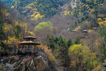 九如山休闲旅游度假区第 233 张图片
