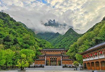 秦岭天竺山生态文化旅游景区第 15 张图片
