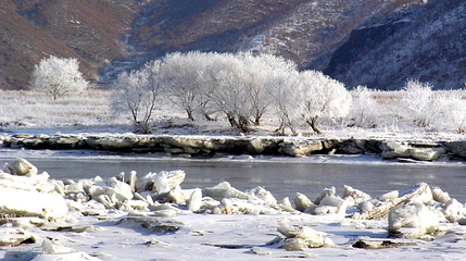 松坪沟雪森林冰雪世界第 1 张图片