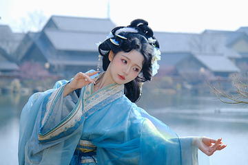 东山问梅村第 6 张图片