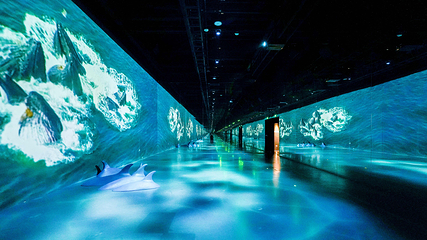 ARTE MUSEUM 成都第 8 张图片