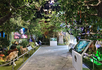 石台牯牛降景区第 60 张图片