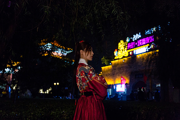 开封城墙第 48 张图片