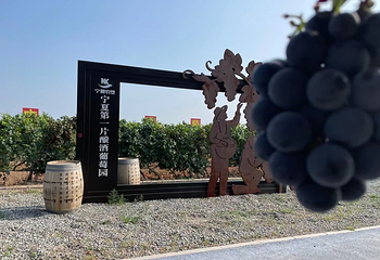 西夏王玉泉国际酒庄第 27 张图片