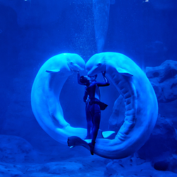 舟山长乔海洋公园