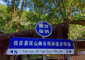 基诺山巴朵幽谷雨林徒步