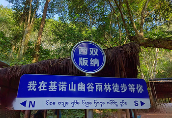 基诺山巴朵幽谷雨林徒步第 1 张图片