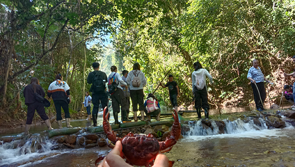基诺山雨林徒步第 45 张图片
