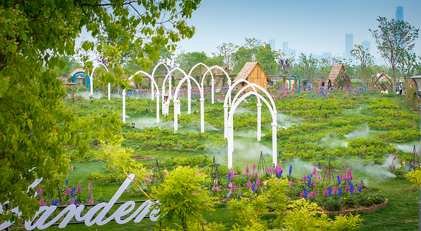 苏州奥诗汀繁花