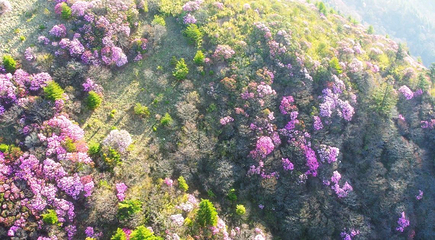 神农架风景区第 213 张图片