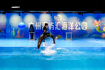 广州海屿汇海洋公园第 19 张图片