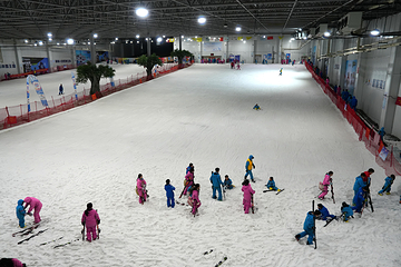 三只熊冰雪王国第 33 张图片